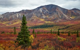 Картинка деревья, горы, пейзаж, осень