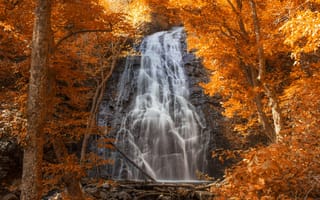 Картинка лес, autumn, осень, каскад, fall, nature, водопад