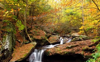 Картинка природа, водопад, скалы, лес, осень, деревья