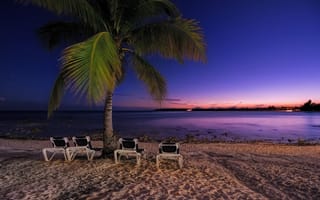 Картинка закат, пальма, море, пейзаж, пляж, mexico