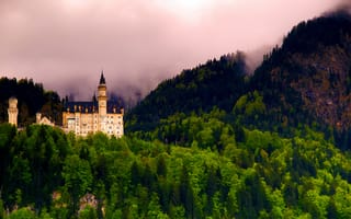 Картинка пейзаж, germany, замок, лес, bavaria, neuschwanstein castle, германия, замок нойшванштайн, бавария