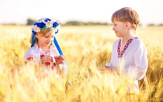 Обои поле, ромашки, девочка, мальчик, венок, пшеница, дети