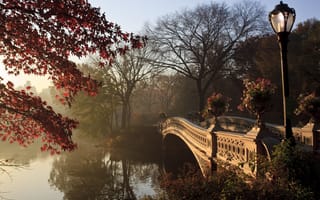 Картинка trees, bridge, autumn tree, lamppost, central park, new york city