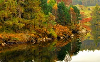 Картинка лес, осень, лейк-дистрикт, england, озеро, озерный край, lake district, англия, cumbria