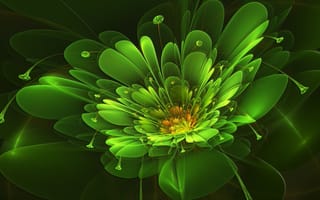 Картинка цветок, зеленый, фрактал, абстракция