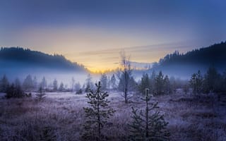 Картинка пейзаж, туман, рассвет, утро, изморозь, норвегия, горы, осень