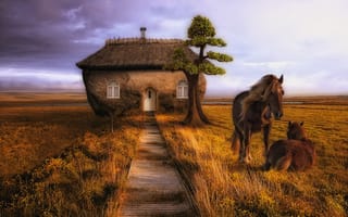 Картинка дорога, дом, кони, степь