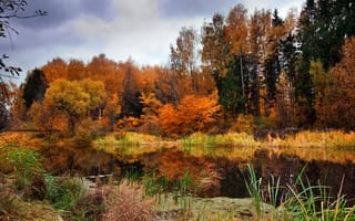 Картинка природа, деревья, вода, отражение, облака, небо, осень