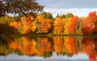 Картинка природа, осень, небо, листья, облака, вода, лес