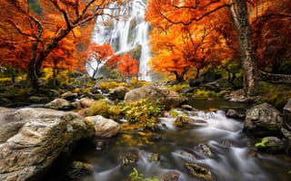 Картинка природа, ручей, водопад, деревья, красиво, осень, вода