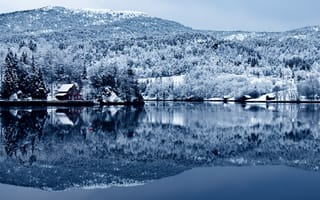 Картинка tree, forest, lake, cottage, snow, water