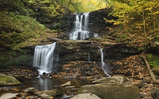 Картинка Nikon, D500, водопад, Падает, природа, падать, tuscarora, rickettsglenstatepark, Годовых, листья, пейзаж
