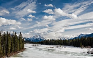 Картинка деревья, река, пейзаж, athabasca river, jasper national park, горы
