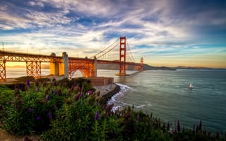 Картинка Сан-Франциско, США, Калифорния, цветы, парусная лодка, Тихий океан