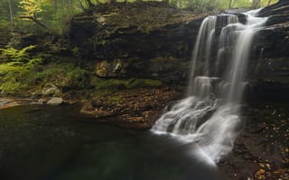 Картинка Nikon, D500, Деревьями, пейзаж, природа, падать, водопад, lewisfalls, воды, Годовых, Sullivancounty