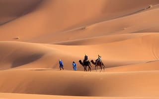 Картинка пустыня, к оазису, верблюды, барханы, спешат, странники, зной