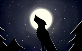 Картинка Луна, Волк, ночь, Звезды
