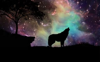Картинка Волк, звездное небо, ИЗОБРАЗИТЕЛЬНОЕ ИСКУССТВО, силуэт