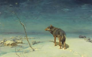 Картинка Alfred Kowalski Wierusz, Классическое искусство, Художественное произведение, Польский, Волк