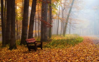Картинка деревья, парк, пейзаж, осень, лавочка