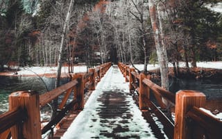 Картинка мост, снег, Деревьями, Зима, весна