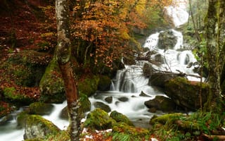 Картинка природа, осень, лес, деревья, водопад, мох, камни