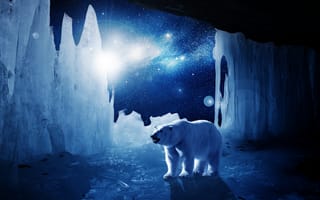 Картинка свет, белый медведь, ледник