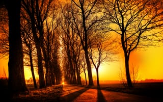 Картинка закат, пейзаж, осень, дорога, деревья