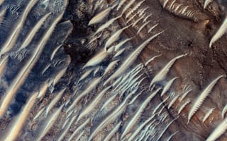 Картинка Портретный дисплей, Текстура, Вертикальный, Текстурированный