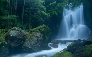 Картинка водопад, воды, камень, природа, лес
