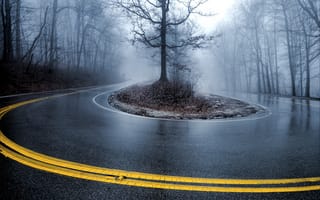 Картинка деревья, дорога, осень, туман