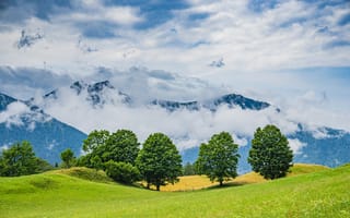 Картинка Альпы, Цены расширенных лицензий, лето, лес, Горы, природа