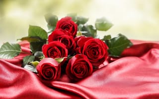 Картинка цветы, аромат, настроение, розы, букет, подарок