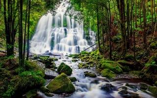 Картинка природа, камни, ручей, водопад, лес, деревья, мох