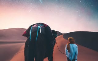 Картинка Животные