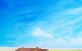 Картинка Животные, природа