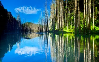 Картинка деревья, горы, озеро, небо, отражение