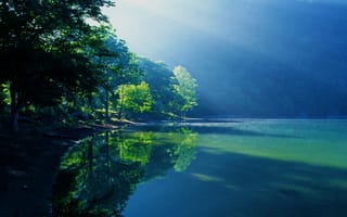 Картинка природа, туман, деревья, oзеро, лето