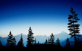 Картинка Far Cry 5, Пересматривать, Рассвет, ночное небо, Звездный, Дикая местность