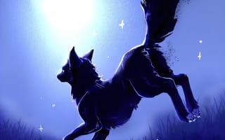 Картинка Свобода, день, Волк