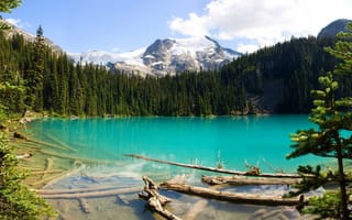 Картинка горы, леса, канада, озеро
