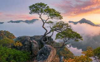 Картинка Южная Корея, Горы, закат солнца, Цены расширенных лицензий, сосны, Азия, природа, пейзаж