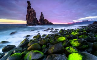 Картинка Португалия, Мадейра, Камни, берег, камень, море, Цены расширенных лицензий, небо, мох, природа