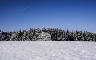 Картинка природа, пейзаж, Зима, Деревьями, широкий угол, Химические ленты, на открытом воздухе, небо, снег
