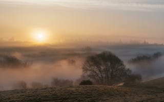 Картинка Туман, закат солнца, Деревьями, Цены расширенных лицензий, Восход, природа, пейзаж, Поле, Великобритания
