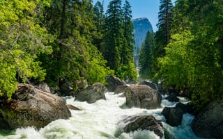 Картинка Йосемитский национальный парк, Долина Йосемити, горные породы, воды, Калифорния, водопад, Река, Yosemite Falls, лес, природа, Северная Америка, Деревьями