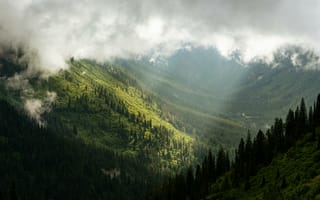 Картинка Монтана, США, Горы, Цены расширенных лицензий, солнечные лучи, лес, пейзаж, скалистые горы, Долина