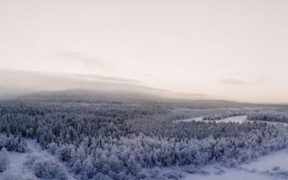 Картинка Финляндия, Зима, Река, природа, мороз, закат солнца, снег, пейзаж, Туман, лес
