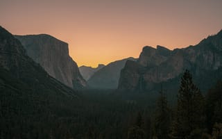 Картинка пейзаж, Йосемитский национальный парк, Деревьями, природа, США, лес