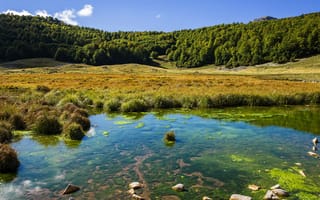 Картинка природа, лес, италия, озеро, трава, barrea